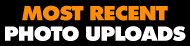 Most Recent Photo Gallery Updates